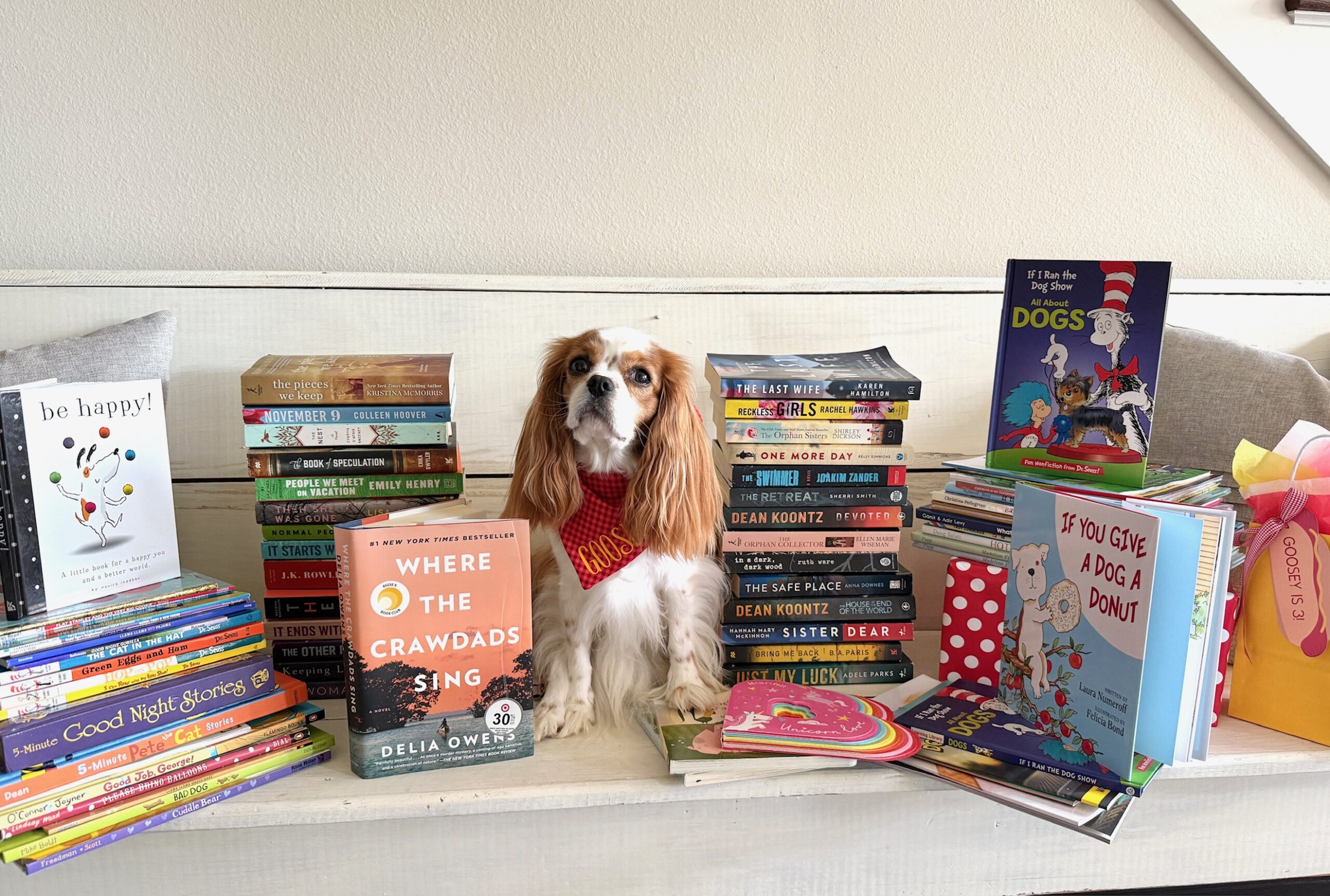 I Stocked the Libraries